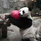 小寒C