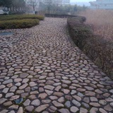 幸福是什么