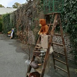 嗯嗯嗯