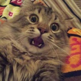 lilei
