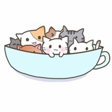 透明纸飞机
