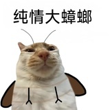 菅理员
