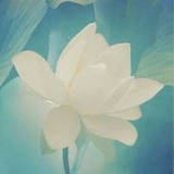 炸糊了的油炸粑