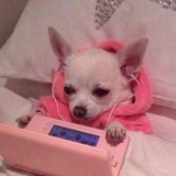 春花秋月何时了