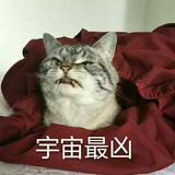 雁渡寒潭