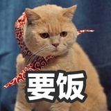 狮蘭