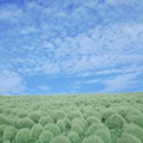 🎈 悟 空🎈