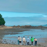 Yuhas