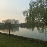 天使还是魔鬼S