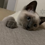 豆瓣闲酱