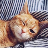 purr