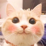 huashenrencai