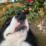 💋