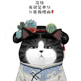 瘦了吗瘦了吗