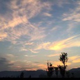 LinXin