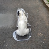 小溪