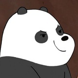 亲爱的森林