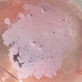 Virabic