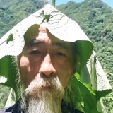 花射爱心