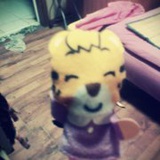 licy