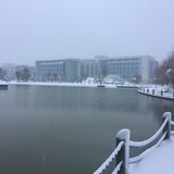 听雪