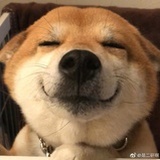 吃瓜群众