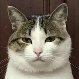 下午茶