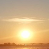 达尔