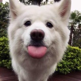 孙大圣🇨🇳