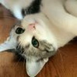 啾唧唧～(๑´ω`