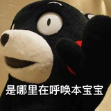 大秦硅藻泥