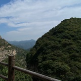 鑫鑫鑫鑫人