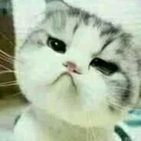 阿翊