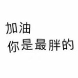chichi痴