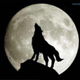 向前冲