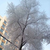 坤坤