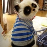 树荫口de涂鸦
