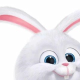 刮大风·一棵松