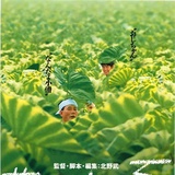 蒲寸