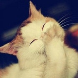 lucky_HERE