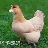 小米