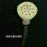 包子入侵