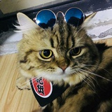 子幕予