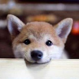 重瑛