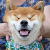 十六味地黄丸