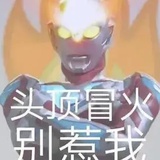 兔头在等待