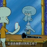 平平无奇小橘猫
