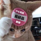 昼