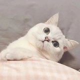 一颗葡萄桃