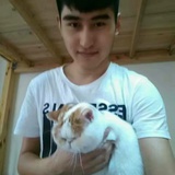 李狗比丶